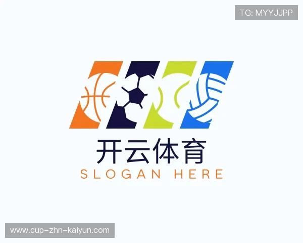 介绍开云电竞官网
